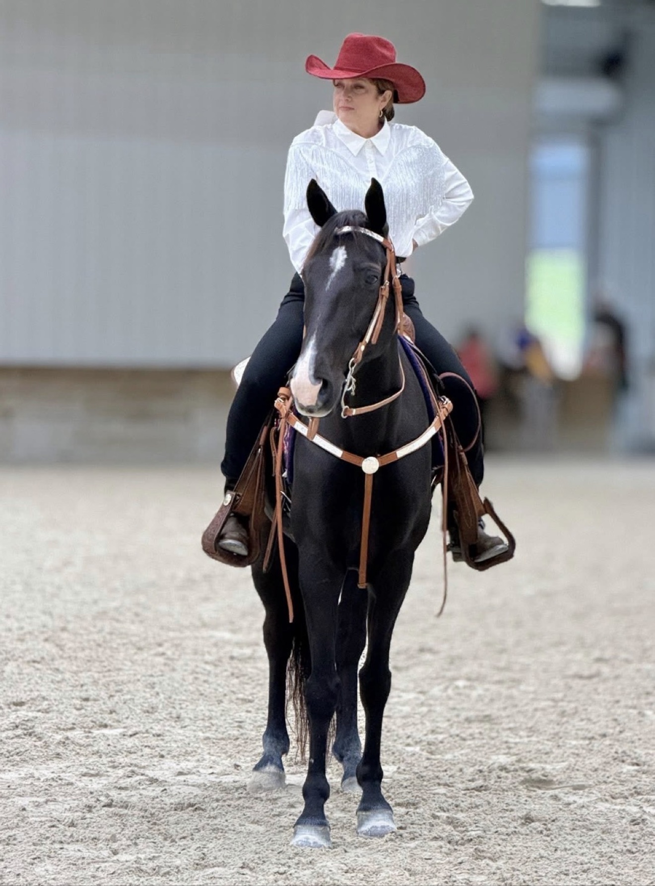 Horse and rider being showcased in an outdoor arena
