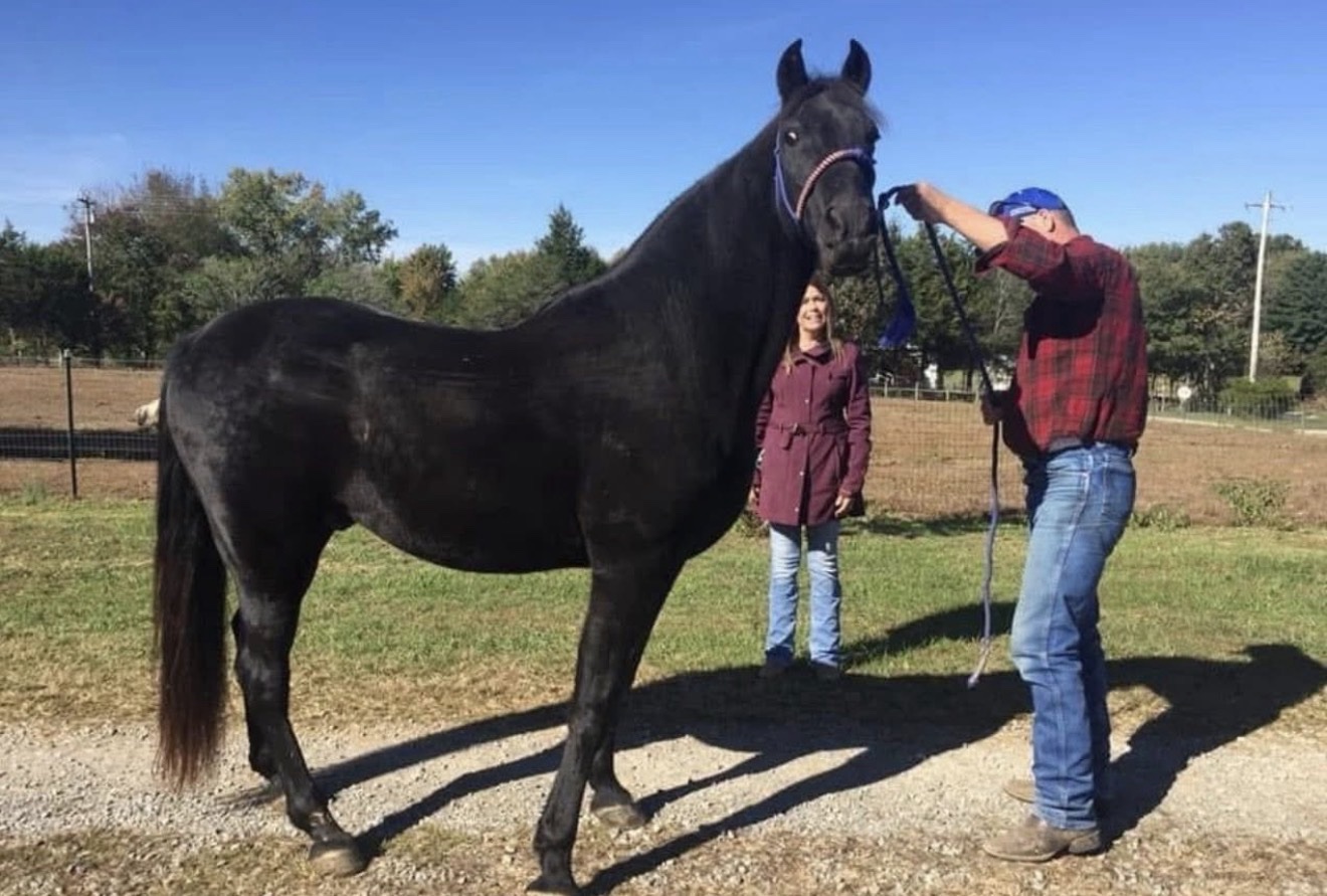 Hayley Stables customers with horses they purchased