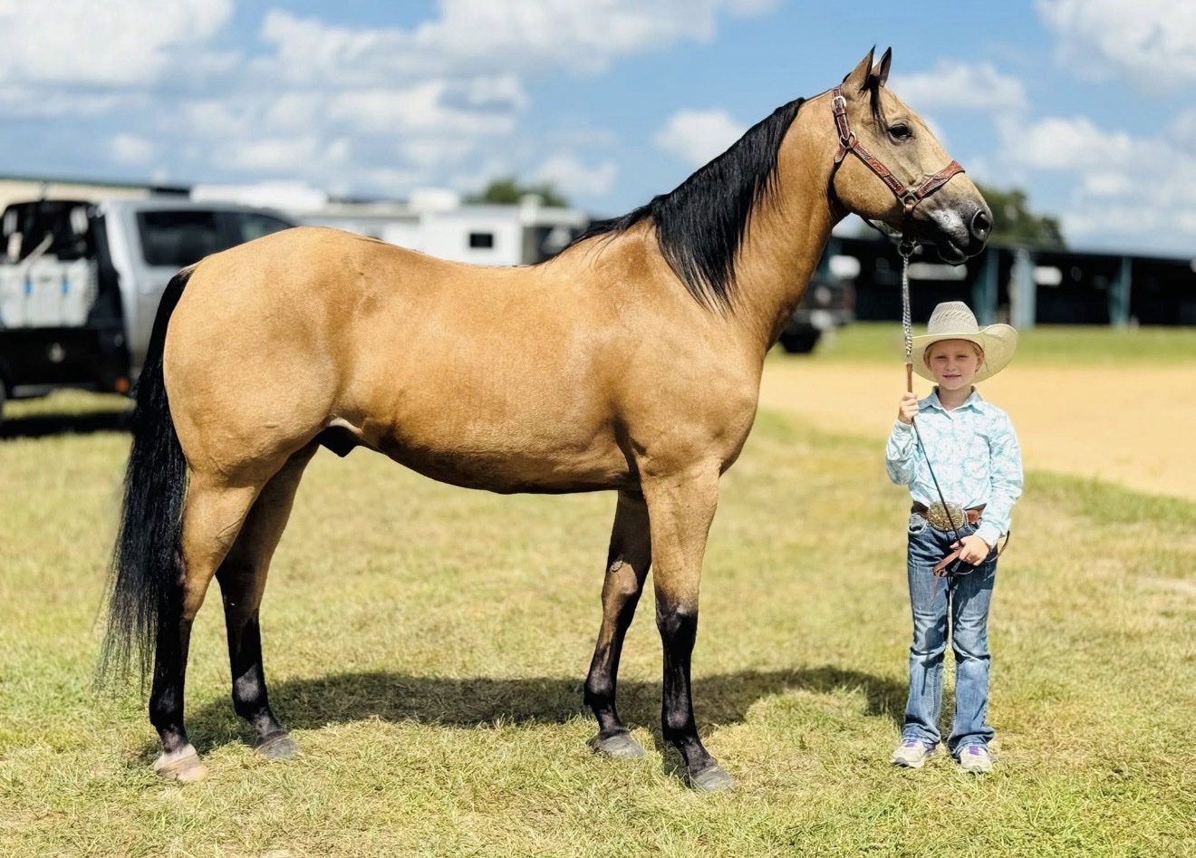 Horse and handler posed for sale photos