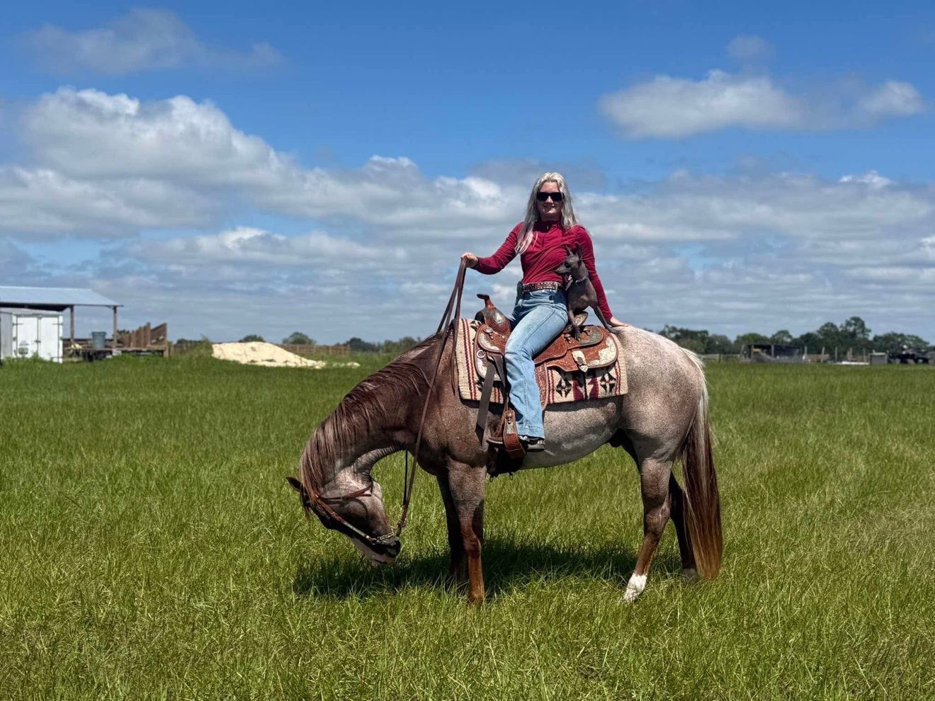 Hayley riding Struttin Cowboy with a flag in the arena
