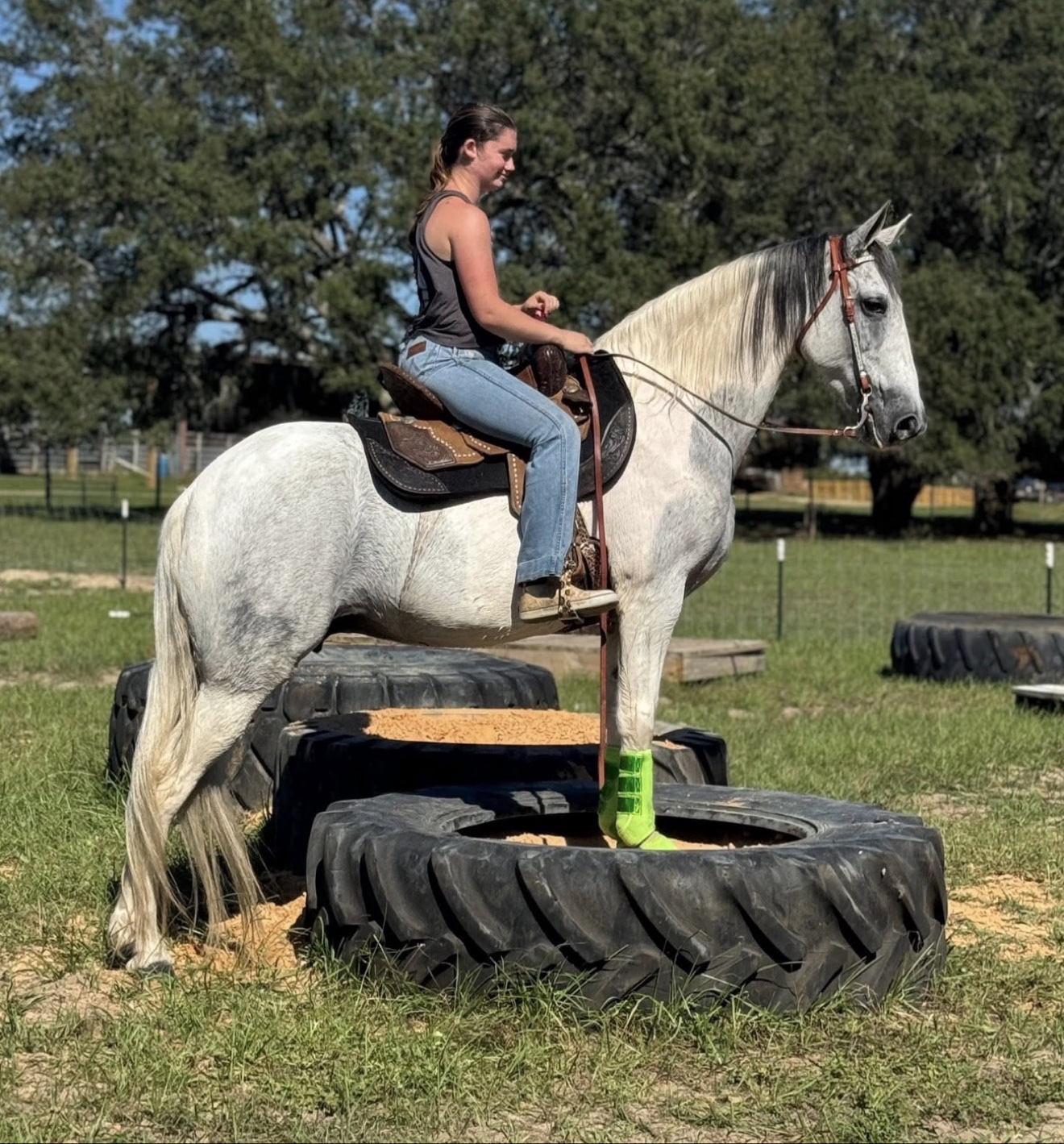 Rider demonstrating a horse outdoors
