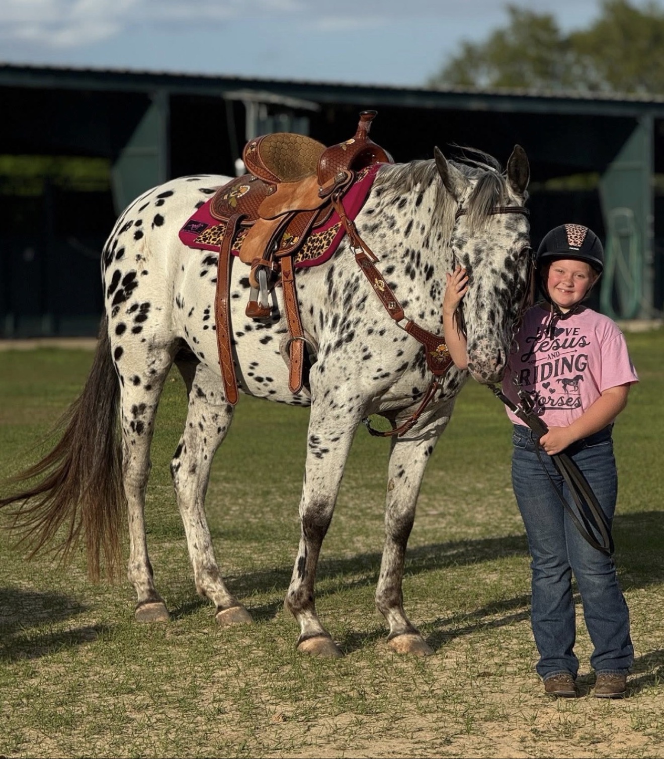 Horse standing with its handler during an evaluation