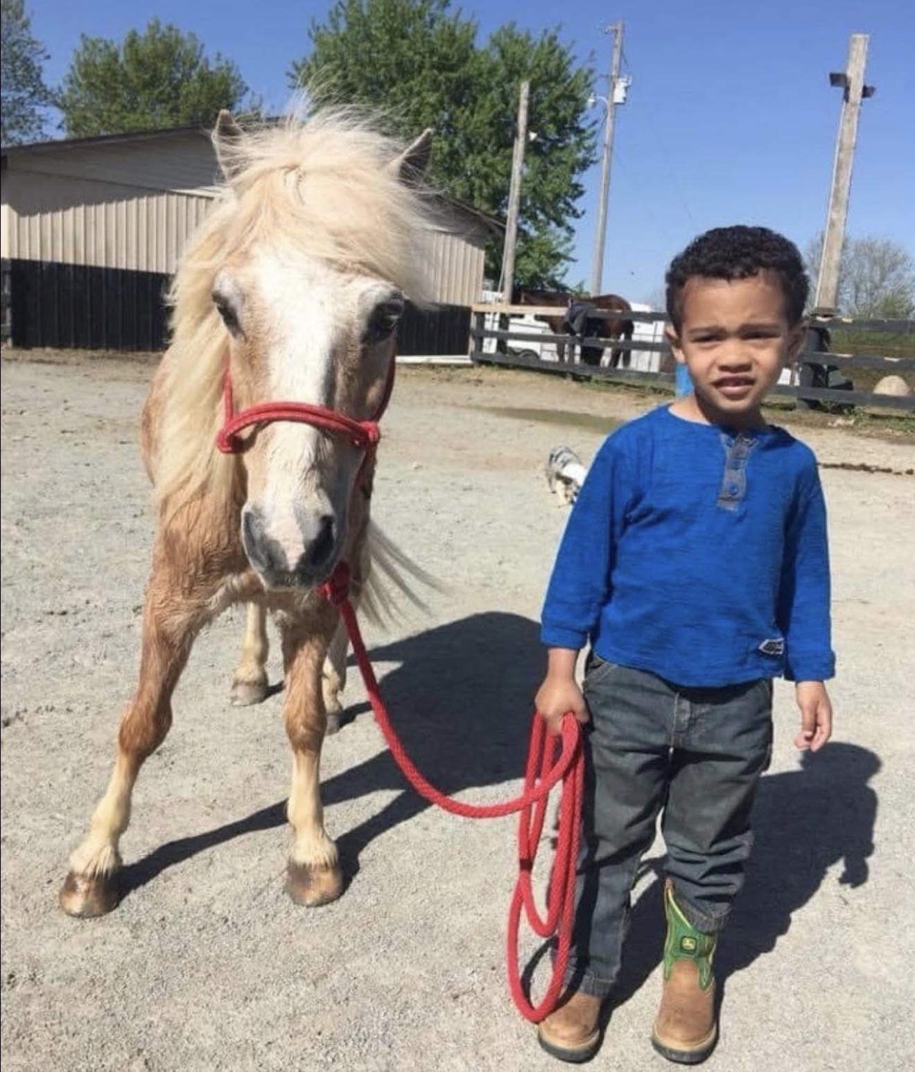 Hayley Stables customers with their purchased horse