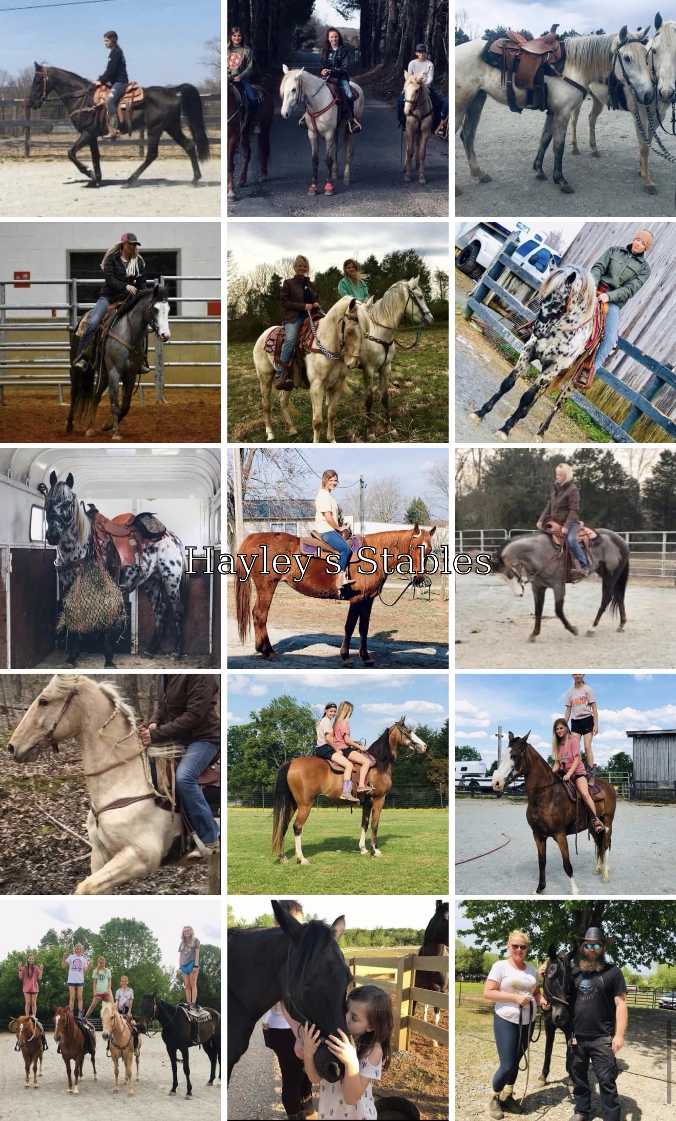 Horse previously sold by Hayley Stables
