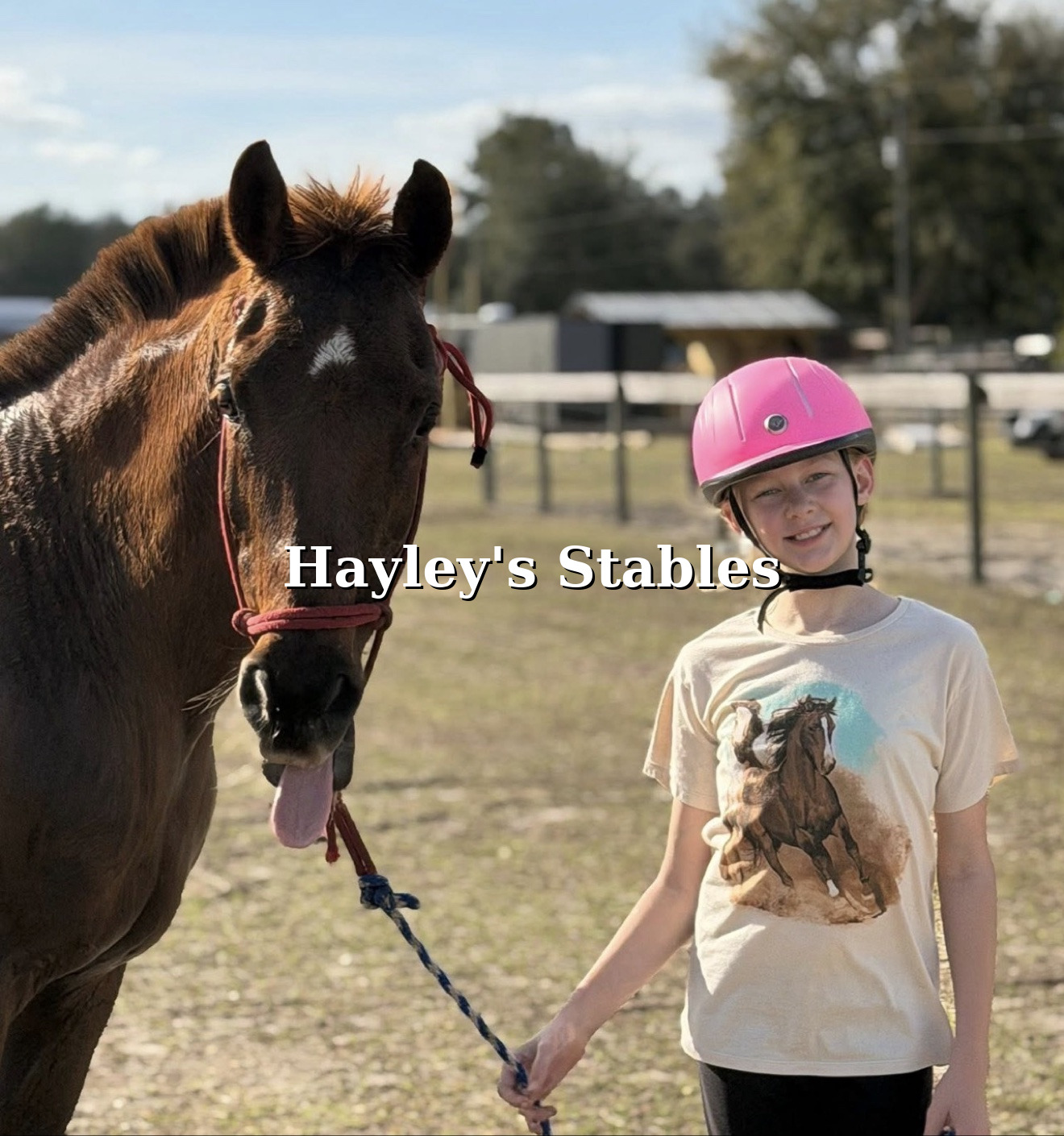 Horse previously sold by Hayley Stables with its handler