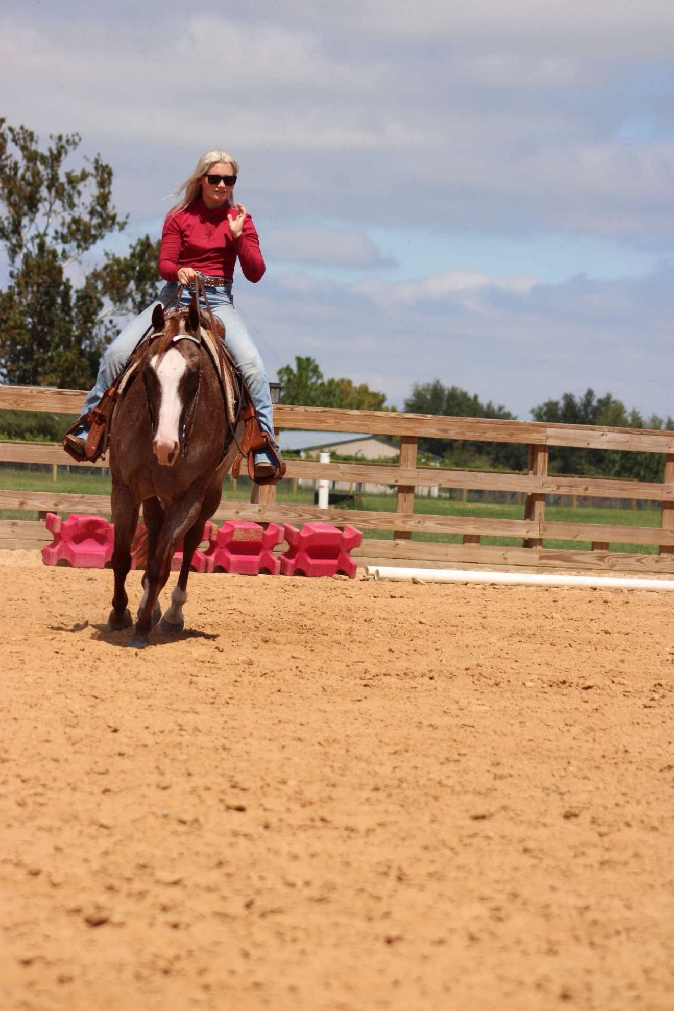 Hayley riding Struttin Cowboy toward the camera in the arena from a second angle