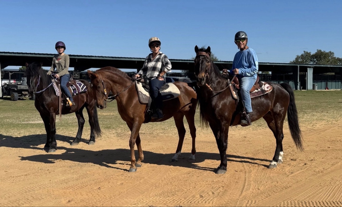 Hayley Stables customers riding their purchased horses together