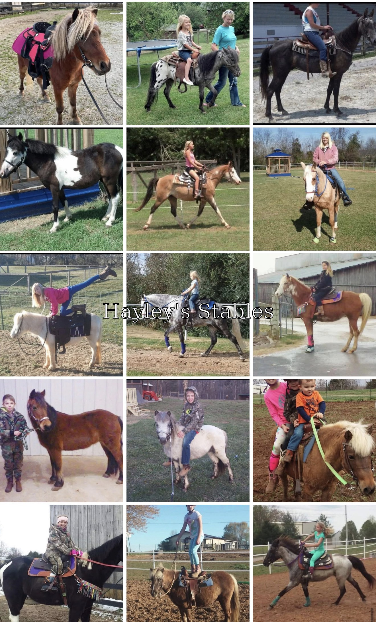 Horse previously sold by Hayley Stables