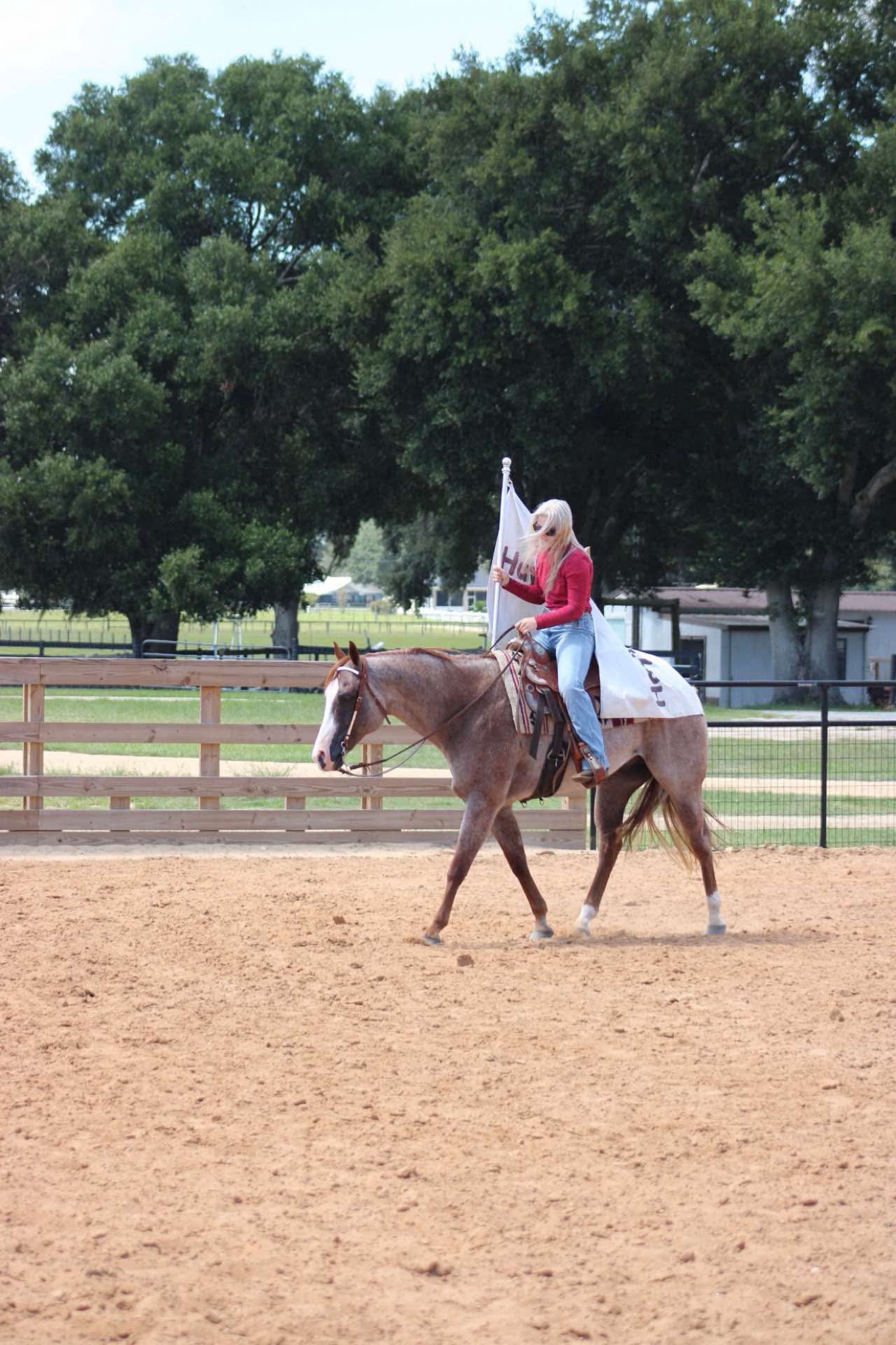 Hayley riding Struttin Cowboy through a hanging tarp obstacle